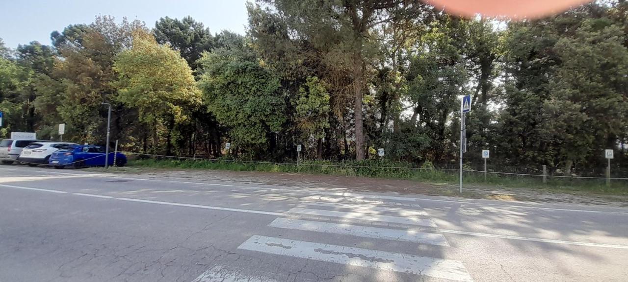 Hotel Maddalena Marina di Ravenna Εξωτερικό φωτογραφία